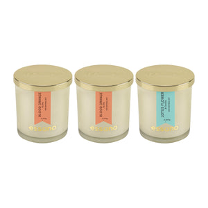 Essano - Build Your Own - Candle 3-Pack Bundle